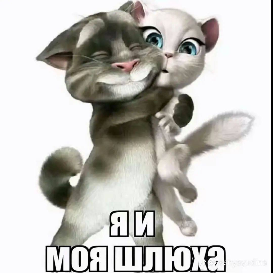 69716a944a90d_1769040532 - изображение на LocalQQ