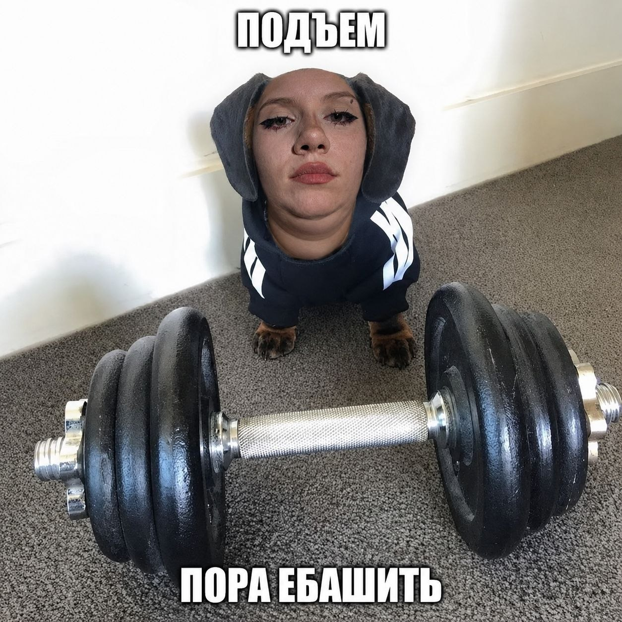 image - изображение на LocalQQ