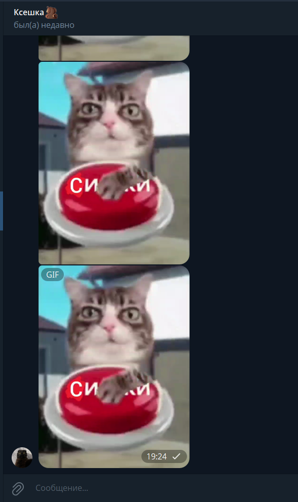 696fac509e238_1768926288 - изображение на LocalQQ