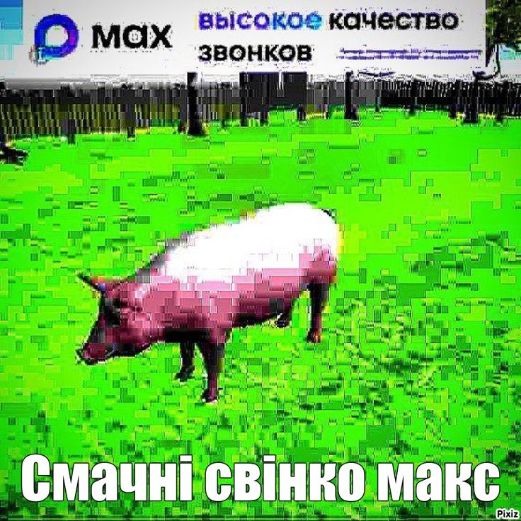 6971437fbfc1a_1769030527 - изображение на LocalQQ