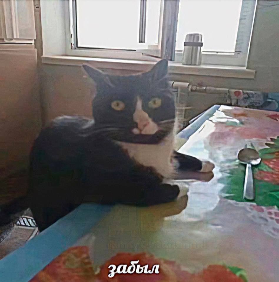 697136626e6e1_1769027170 - изображение на LocalQQ