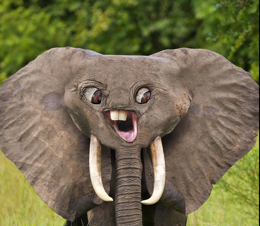 изображение - изображение на LocalQQ