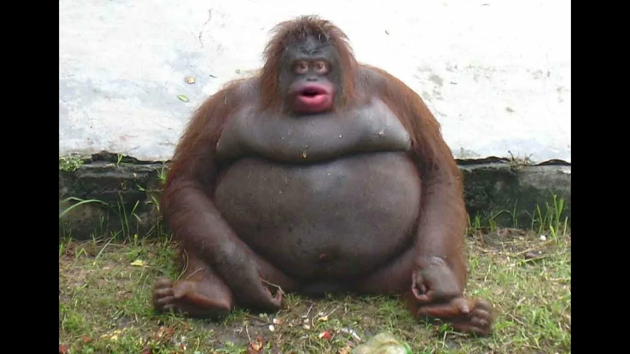 699d00bb2bd49_1771897019 - изображение на LocalQQ