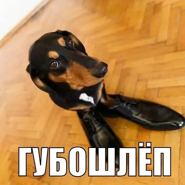 image - изображение на LocalQQ