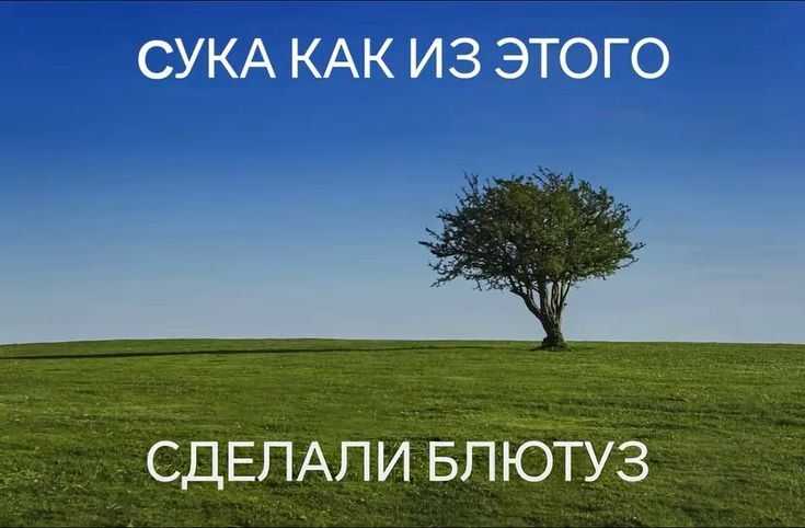 image - изображение на LocalQQ