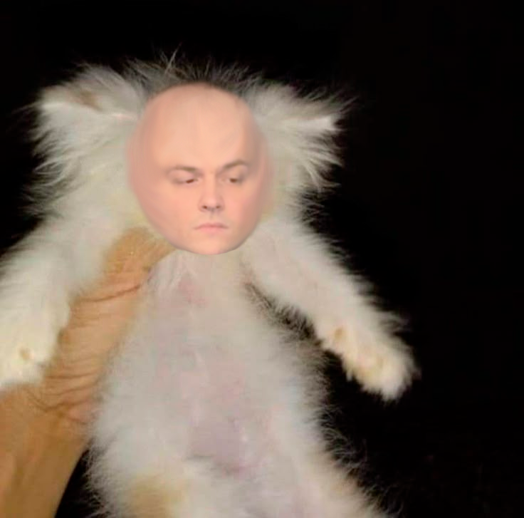 697ecc6a84a82_1769917546 - изображение на LocalQQ