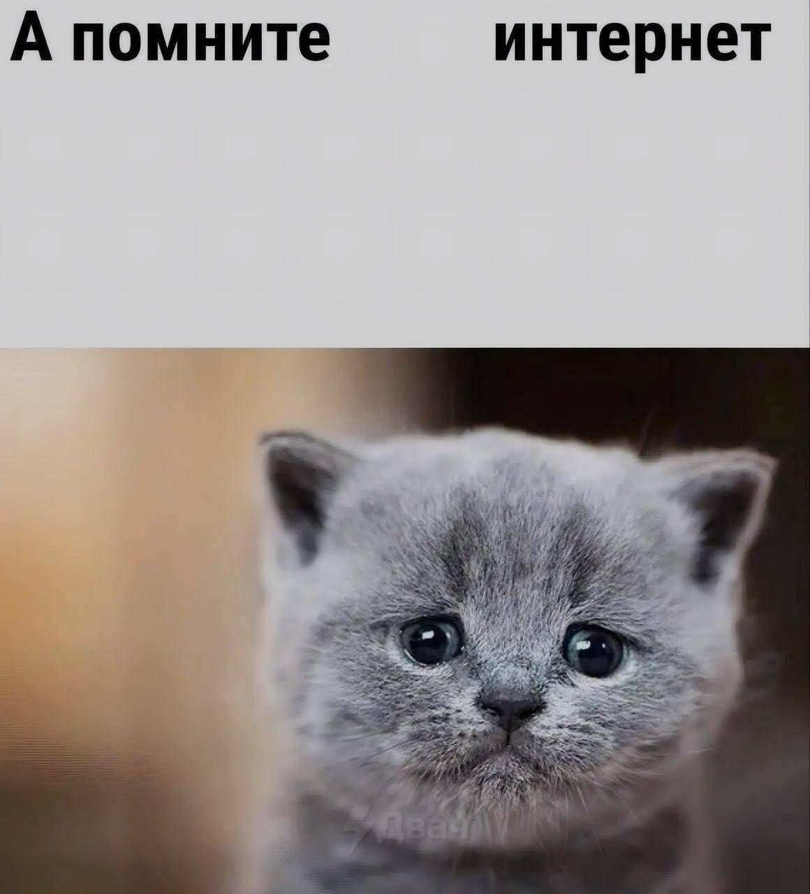 image - изображение на LocalQQ