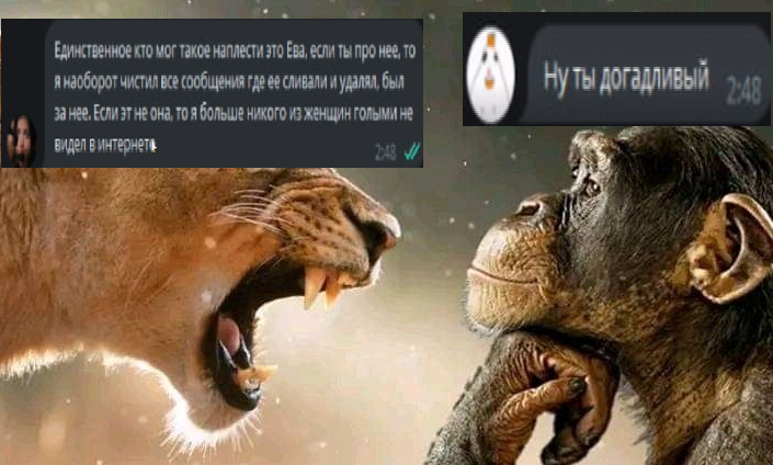 695ec8dc9cda7_1767819484 - изображение на LocalQQ