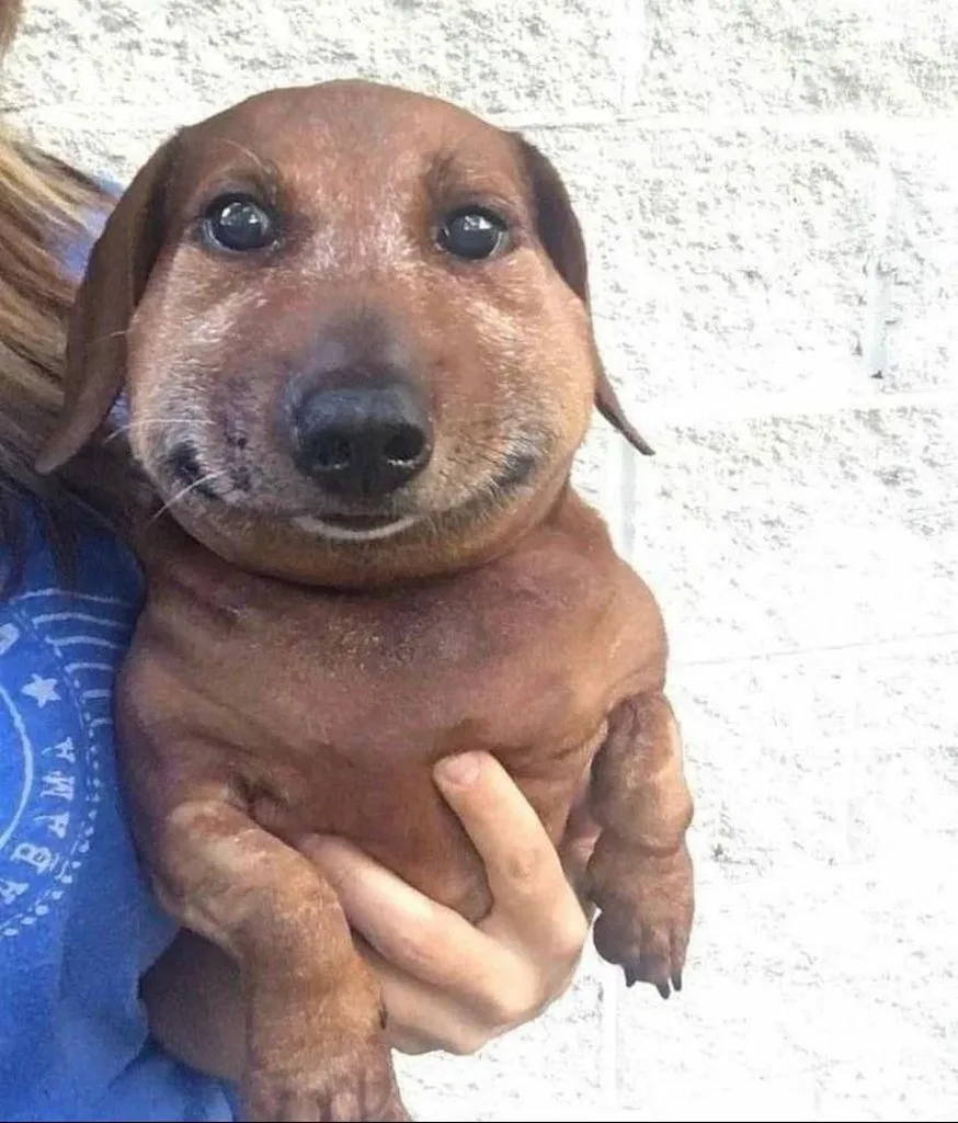 699cfb8fe67ac_1771895695 - изображение на LocalQQ