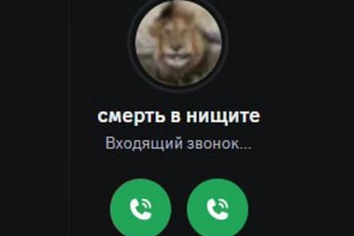 6972a10c40506_1769120012 - изображение на LocalQQ