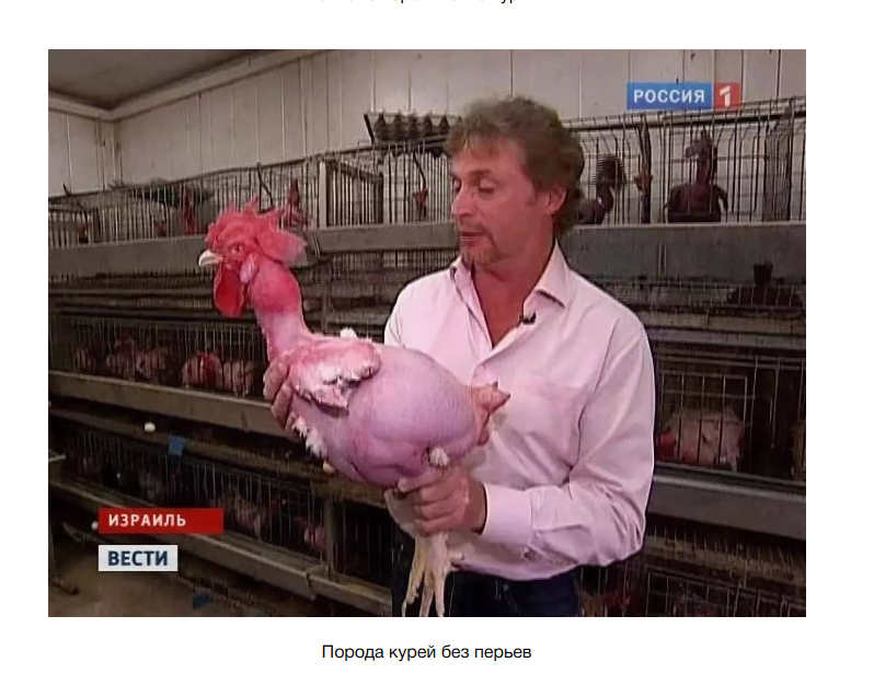 Снимок экрана 2026-09-05 192647 - изображение на LocalQQ