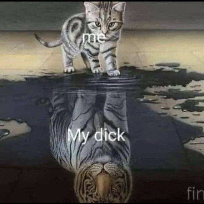 image - изображение на LocalQQ