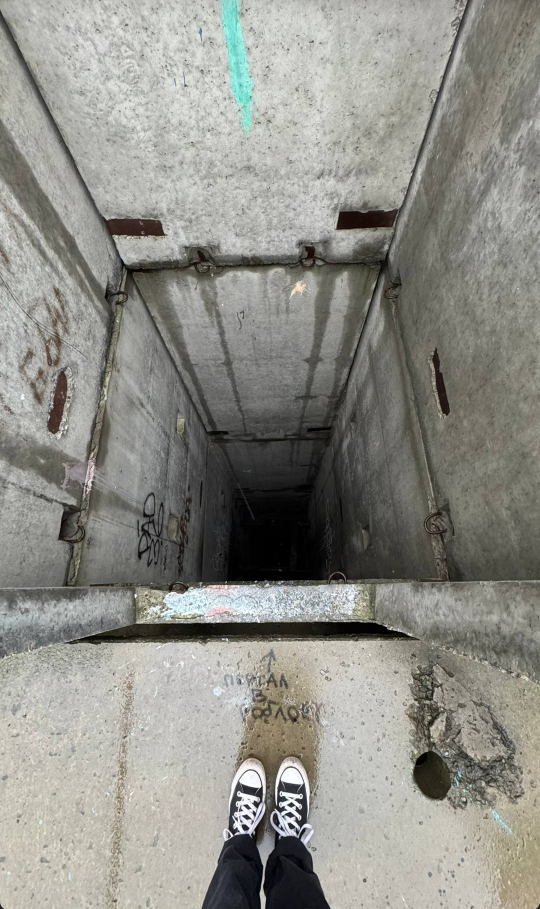 {EC4DB251-9950-4806-8405-26E74D29F84B} - изображение на LocalQQ