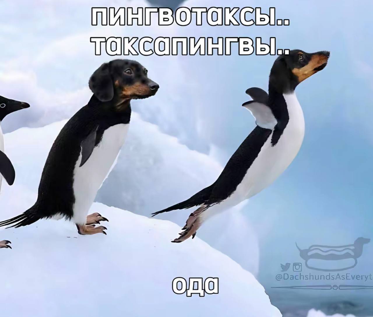 N5EMDo_1776031060 - изображение на LocalQQ