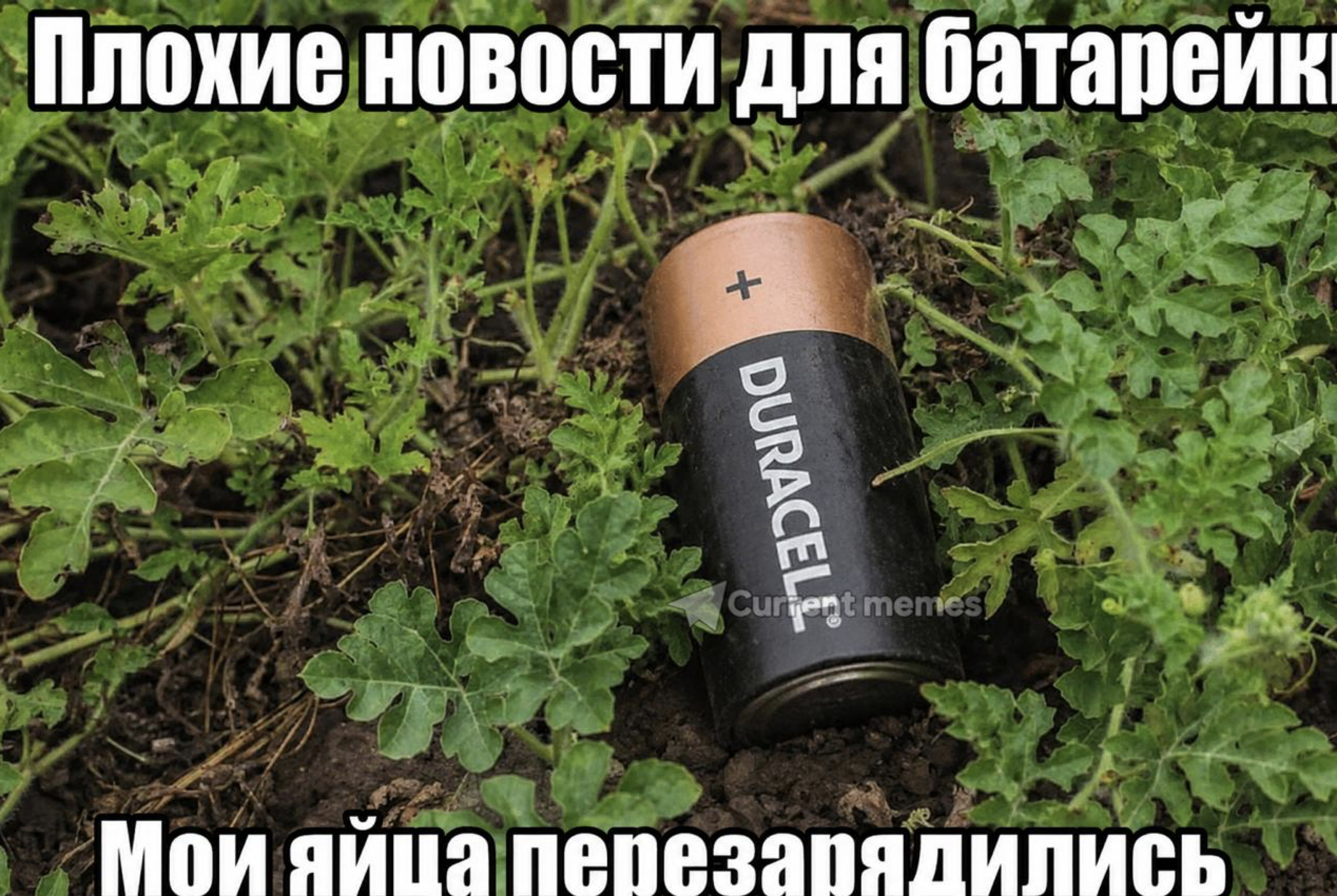Снимок экрана 2026-08-15 в 01.43.42 - изображение на LocalQQ
