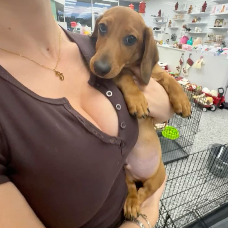 69863706e3798_1770403590 - изображение на LocalQQ