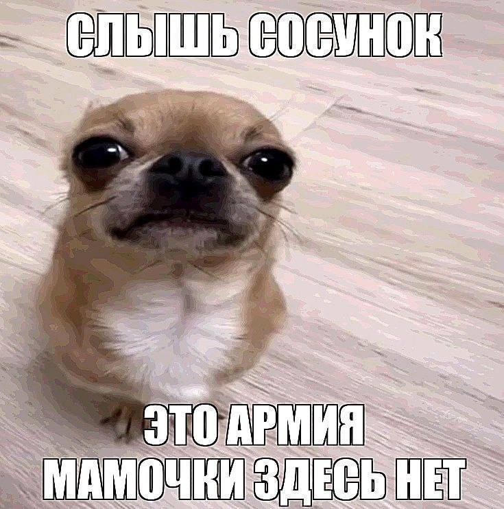 698296dd35fd3_1770165981 - изображение на LocalQQ