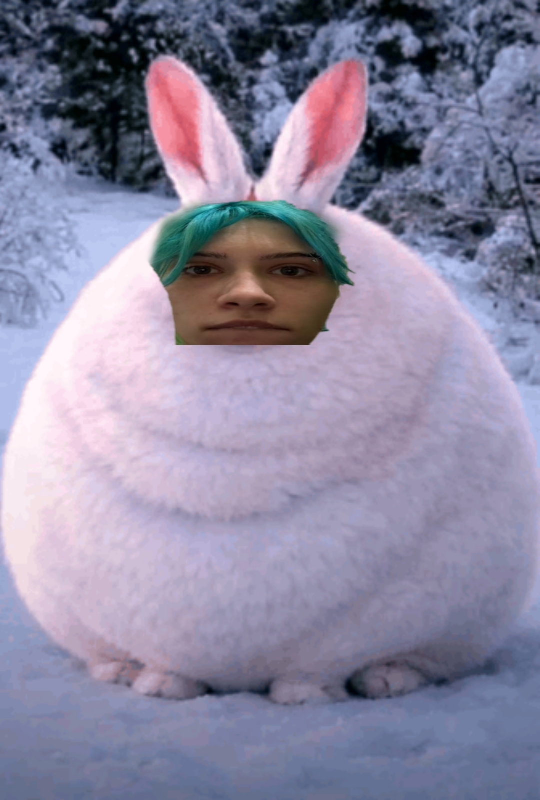 Picsart_26-04-27_00-58-22-706 - изображение на LocalQQ