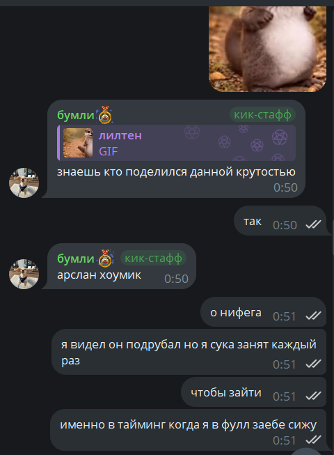 image - изображение на LocalQQ