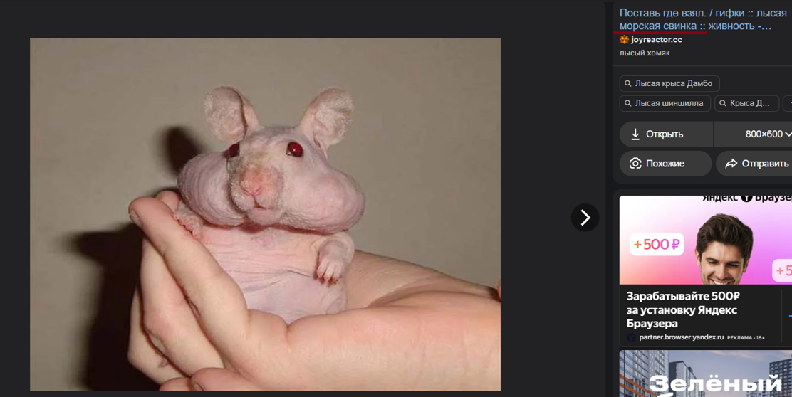 изображение_2026-04-05_220514421 - изображение на LocalQQ