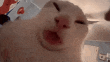 cat-tongue - изображение на LocalQQ