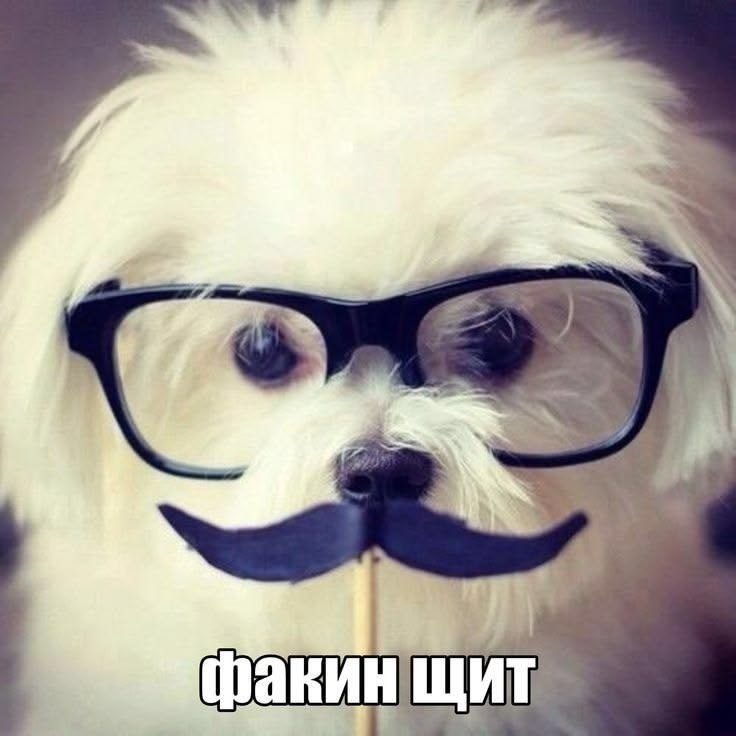 image - изображение на LocalQQ