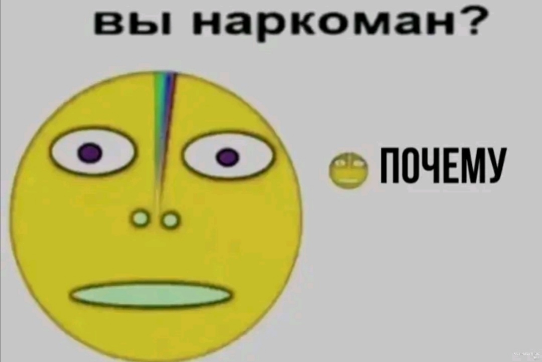 69753683bc088_1769289347 - изображение на LocalQQ