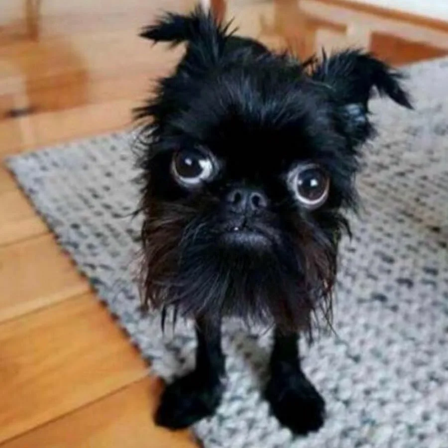 699cfc5763691_1771895895 - изображение на LocalQQ