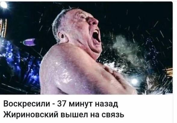IMG_3456 - изображение на LocalQQ