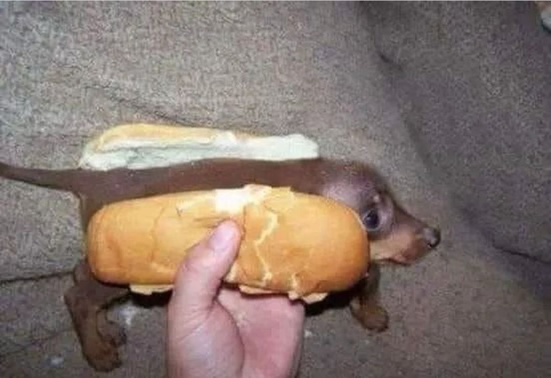 69122e1d53e2b_1762799133 - изображение на LocalQQ