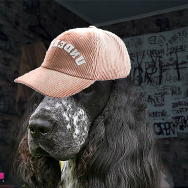 699cfbd80fffb_1771895768 - изображение на LocalQQ