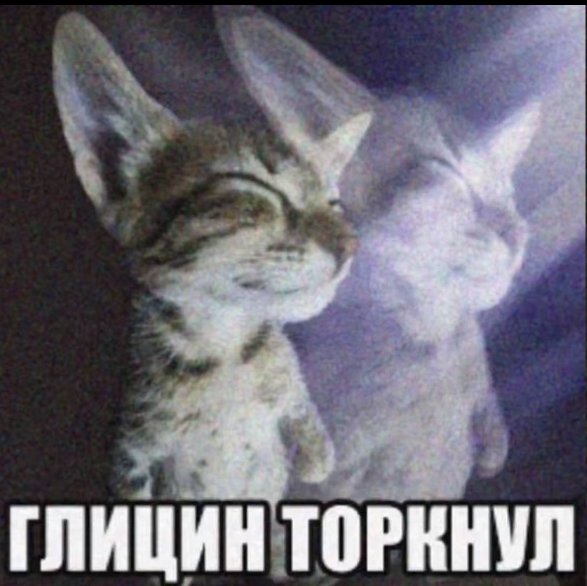 697143b8f136a_1769030584 - изображение на LocalQQ