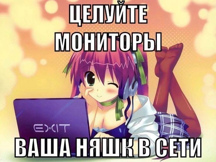 698f8d00afe36_1771015424 - изображение на LocalQQ