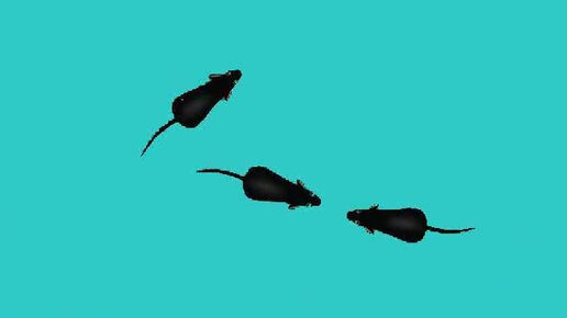 image - изображение на LocalQQ