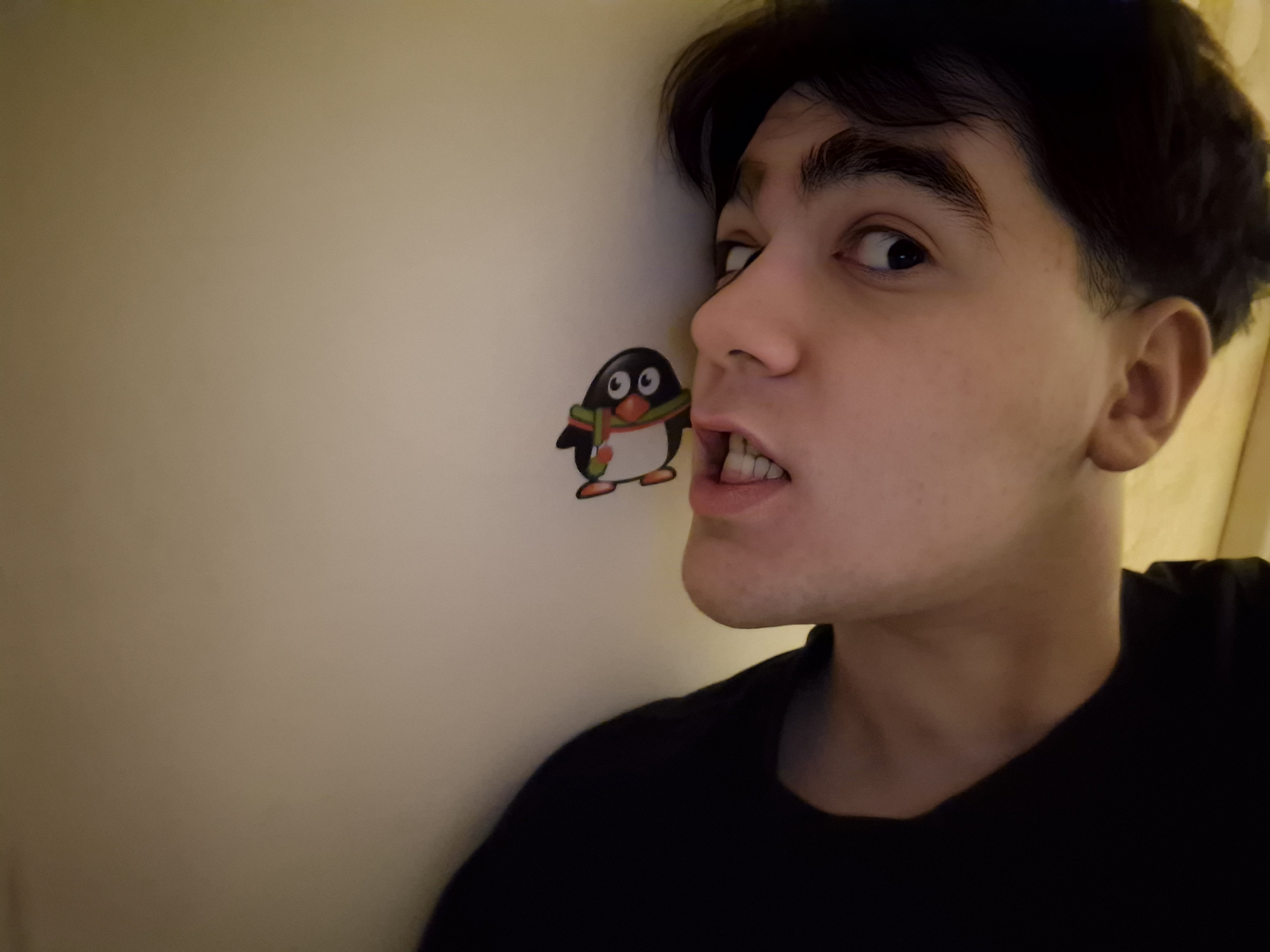 697d51510e038_1769820497 - изображение на LocalQQ