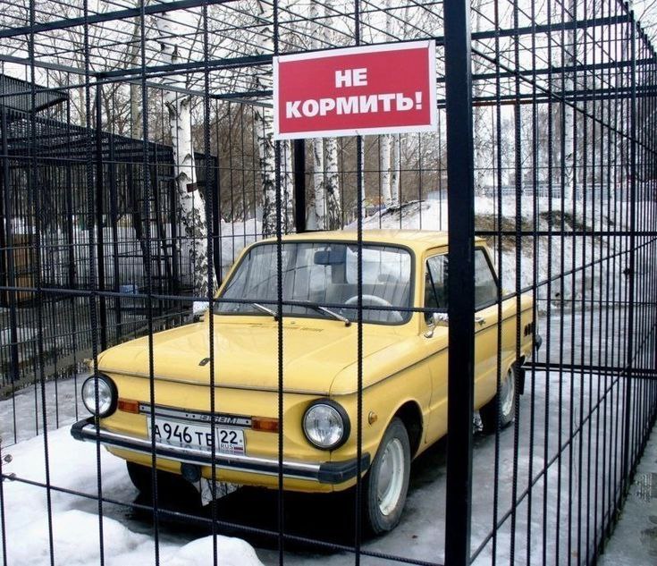 68fbb1f129154_1761325553 - изображение на LocalQQ