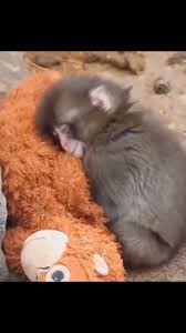 699d00bf2d4a1_1771897023 - изображение на LocalQQ