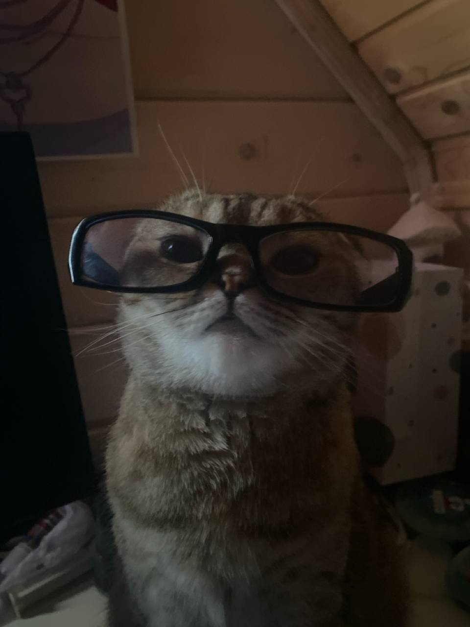 image - изображение на LocalQQ