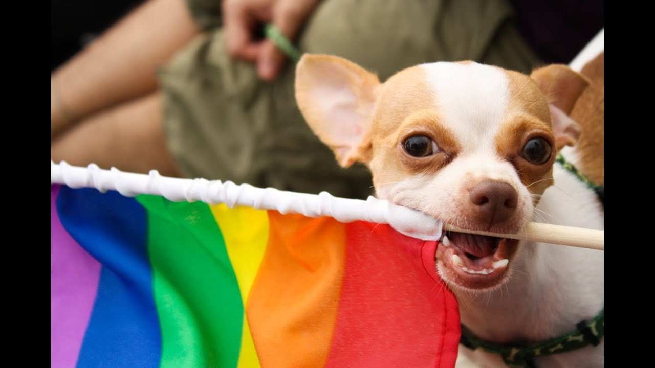 699cfcc55f8ba_1771896005 - изображение на LocalQQ