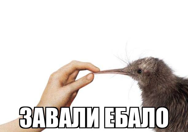 UKDHHX - изображение на LocalQQ