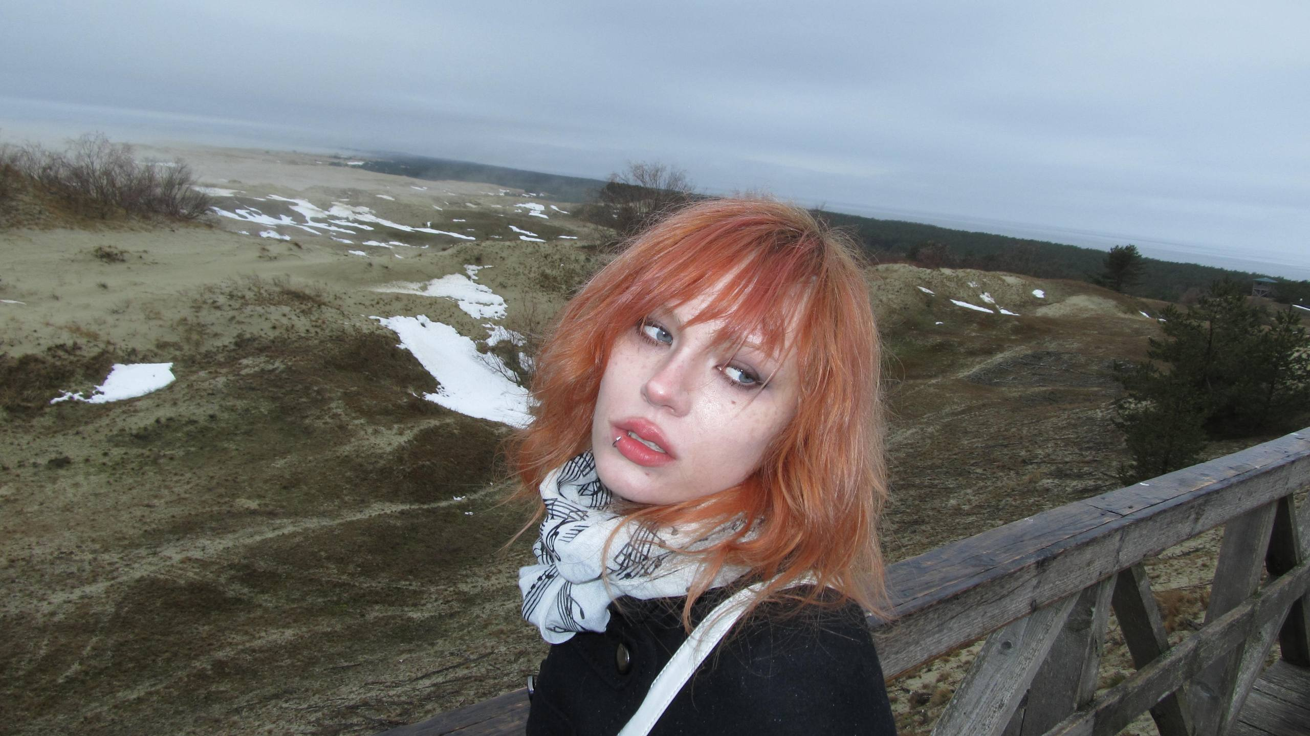 image - изображение на LocalQQ