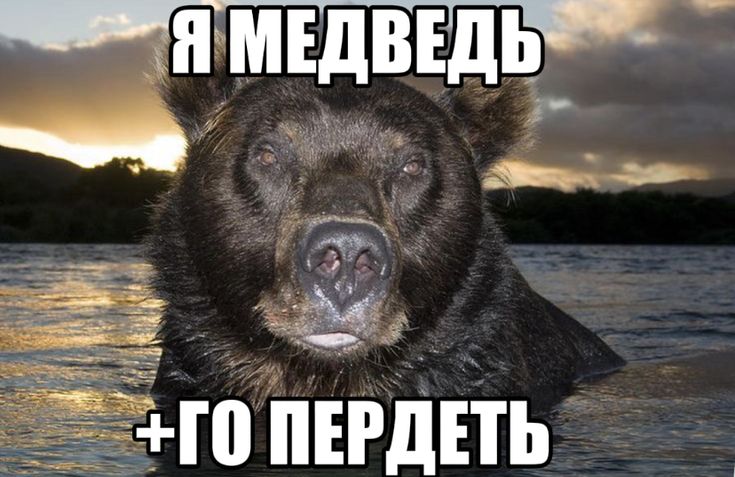 69504ed4c216b_1766870740 - изображение на LocalQQ