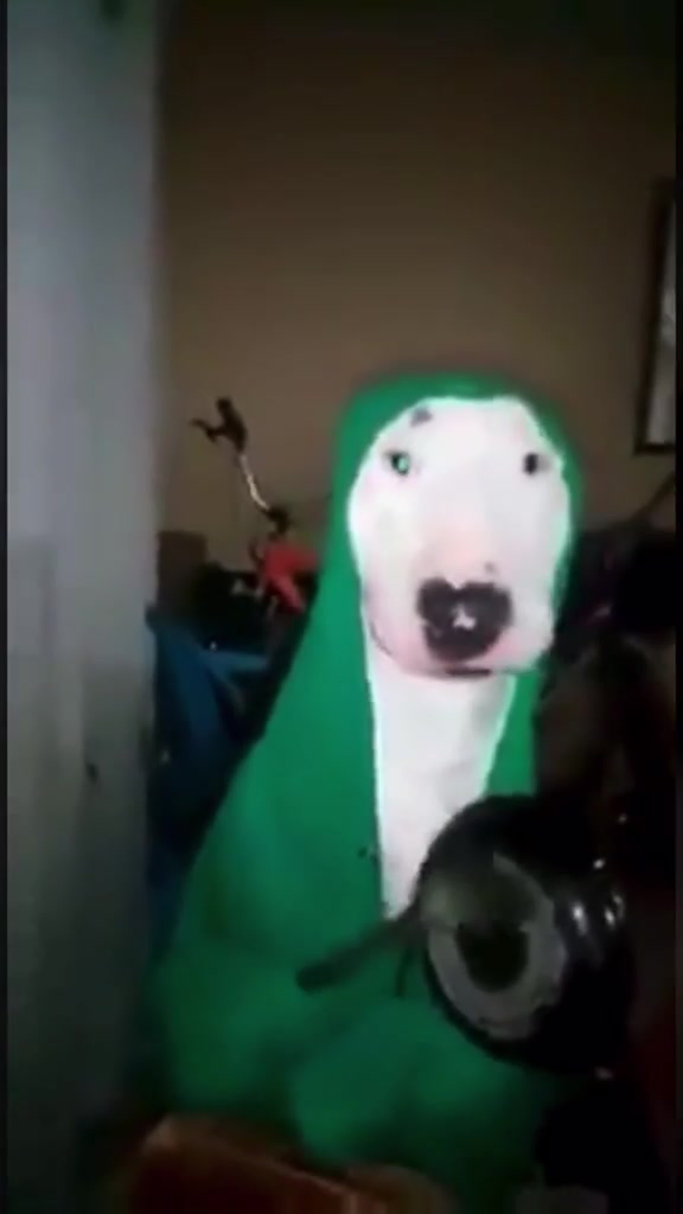 699cff39a3de7_1771896633 - изображение на LocalQQ