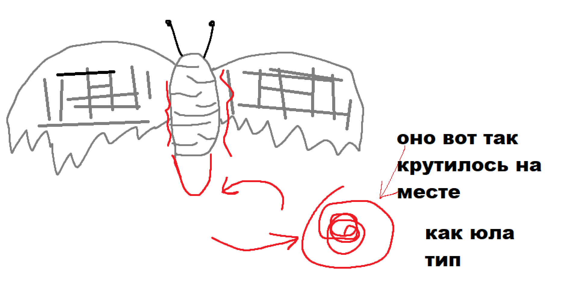 image - изображение на LocalQQ