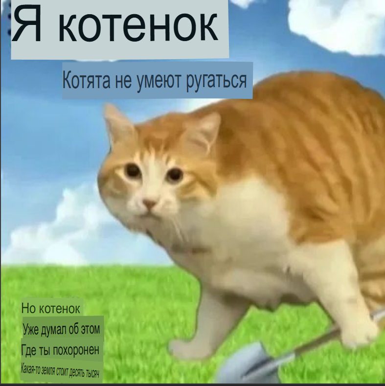 image - изображение на LocalQQ