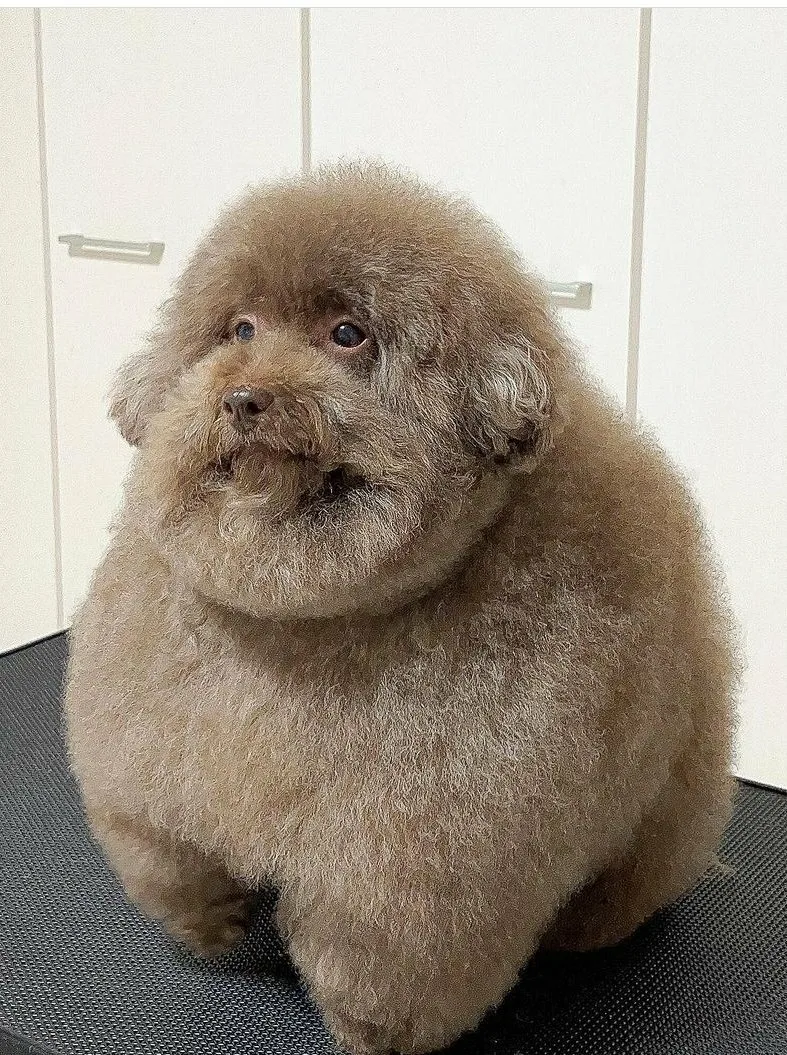 699cfd1acd672_1771896090 - изображение на LocalQQ