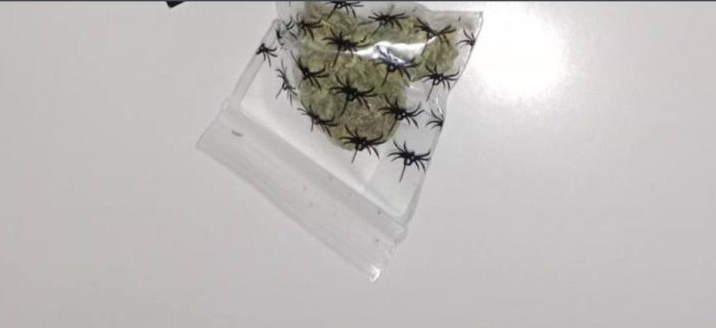 694f2f2365601_1766797091 - изображение на LocalQQ