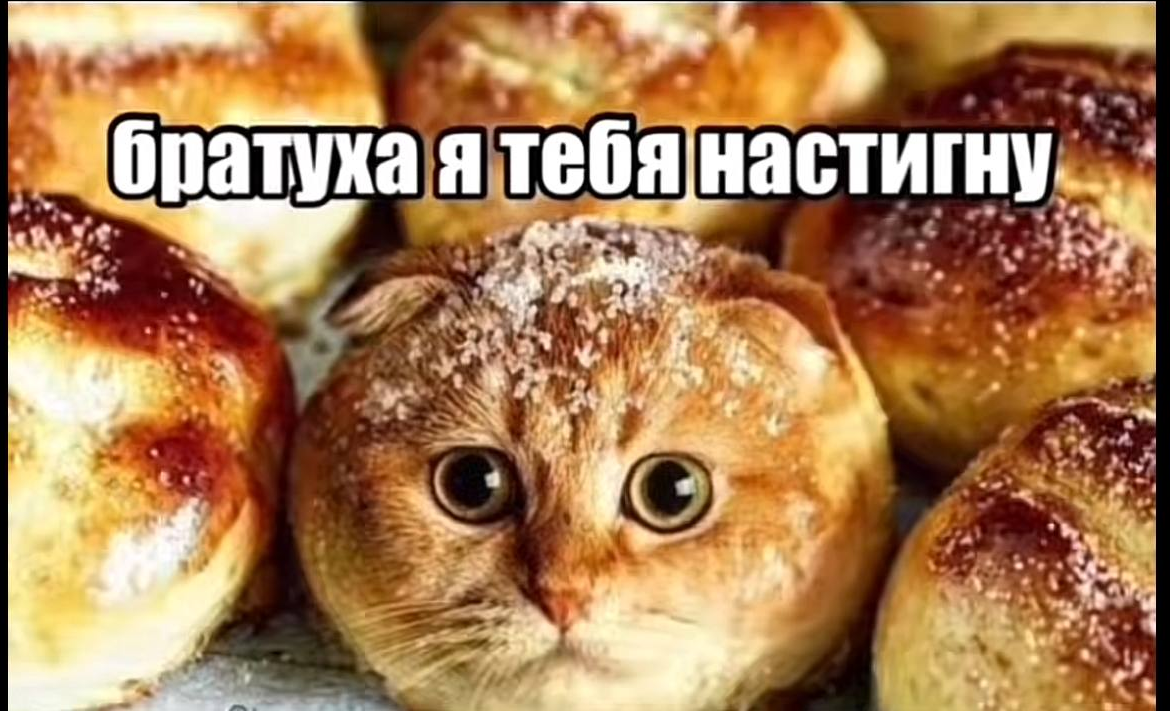 изображение - изображение на LocalQQ