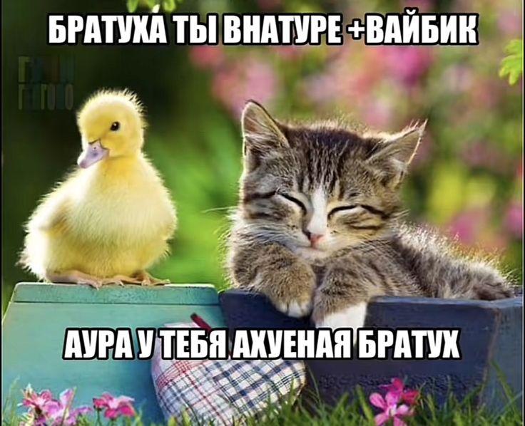 696c2c731e70d_1768696947 - изображение на LocalQQ