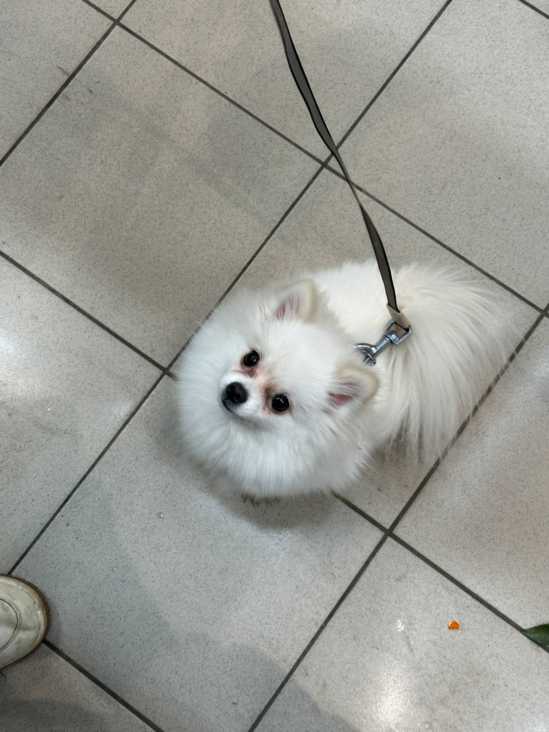 image - изображение на LocalQQ